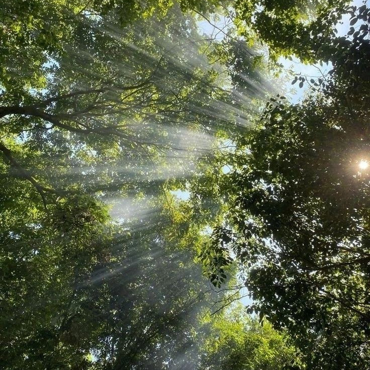 GUIDAD SOMMARRITUAL