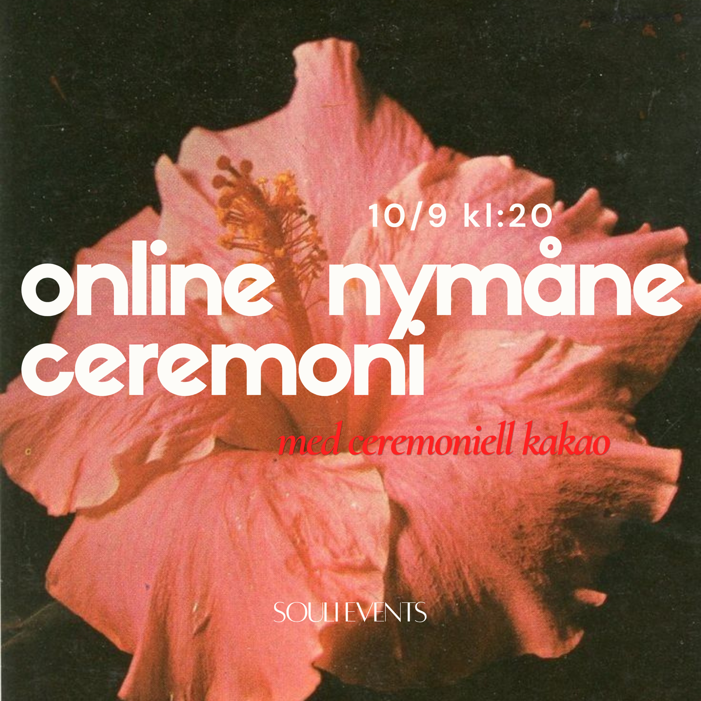 NYMÅNECEREMONI MED KAKAO - ONLINE 10 SEP